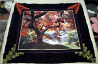 Ahornpaneel03a Ahornpaneel03a