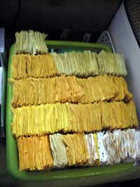 scrapsgross03a scrapsgross03a