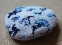 Smartie05Klein Smartie05Klein